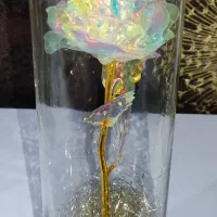 گل رز طلایی و هفت رنگ با باکس شیشه ای