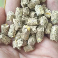 دان دامداری و مرغداری