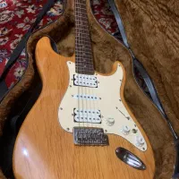 گیتار الکتریک آریا دو پیک آپ،گیتار کلاسیک سانتانا