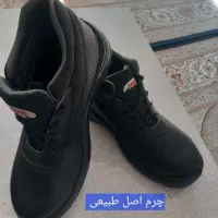 پوتین چرم|کیف، کفش، کمربند|مهاباد (آذربایجان غربی), |دیوار