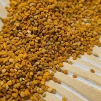 گرده گل کوهستان بمب انرژی|خوردنی و آشامیدنی|قم, چهار مردان|دیوار