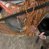 دوچرخه،  سه چرخه ، کفش ، کابشن