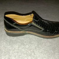 کفش|کیف، کفش، کمربند|بوکان, |دیوار