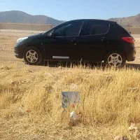 ۲۰۷ مدل ۴۰۱