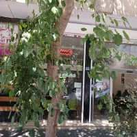 تجاری-ششم-نیروهوایی