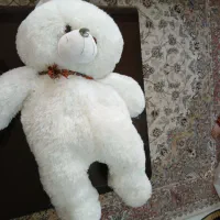 سلام|اسباب‌‌بازی|همدان, |دیوار