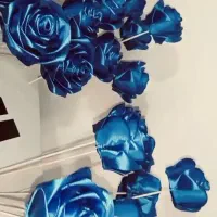 گل رز ربانی شاخه ای فقط 28 تومن