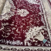 فرش12متری|فرش|مشهد, کوی دروی|دیوار