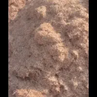 کاه نرم کاهکوب بارون خورده|لوازم جانبی حیوانات|مرودشت, رودبال|دیوار