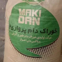 اسب مادیون|اسب و تجهیزات اسب‌سواری|اهواز, فتح|دیوار