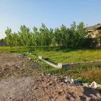 فروش یک قطعه زمین  مسکونی|فروش زمین و ملک کلنگی|رشت, سیا اسطلخ|دیوار
