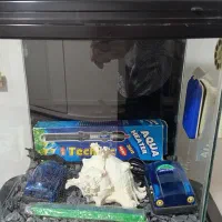 آکواریوم ماهیران