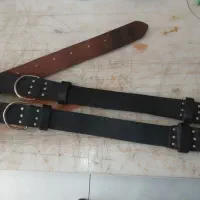 قلاده چرم|لوازم جانبی حیوانات|سراب, |دیوار