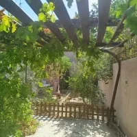 رهن کامل|اجارهٔ خانه و ویلا|ماهان, |دیوار