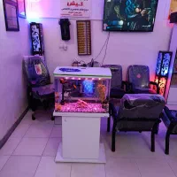 تقویت هوش در کودکان 4تا 9سال|خدمات آموزشی|خرمآباد, |دیوار