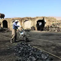 ذُغال درجه یک تخته وجَنگلی(ارسال رایگان)