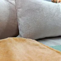 روبالشتی تدی|رختخواب، بالش، پتو|مشهد, عیدگاه|دیوار