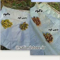 همکاری باغ داران محترم|خدمات باغبانی و درختکاری|شیراز, انجیره|دیوار