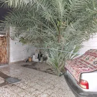 خونه-برا-فروش-شکاره-2