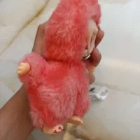 لبوبو ارجینال|اسباب‌‌بازی|اصفهان, شاهزاده ابراهیم|دیوار
