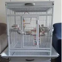 فروش قفس پرنده  مدل خارجی