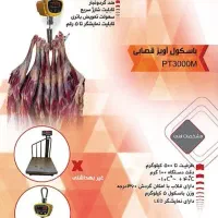 باسکول آویز*باسکول اویز*باسکول جرثقیل*کرین اسکیل|فروشگاه و مغازه|تهران, دکتر هوشیار|دیوار