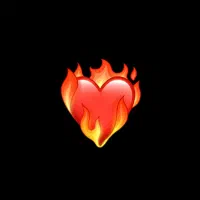 مگسالمانیگمکردم