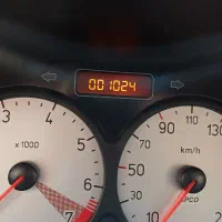 پژو ۲۰۶ تیپ ۲