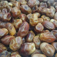 فروش عمده خرمای زاهدی|خوردنی و آشامیدنی|تهران, امام زاده عبدالله|دیوار