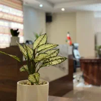 استخدام عریضه نویس در شهریار