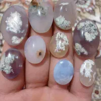 شجر و سنگ الکساندریت