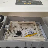 دستگاه جوجه کشی بلدرچین دماوند|لوازم جانبی حیوانات|اراک, |دیوار