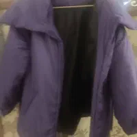 پالتو