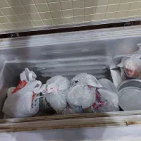 یخچال فریز صندوقی|یخچال و فریزر|کرمان, |دیوار