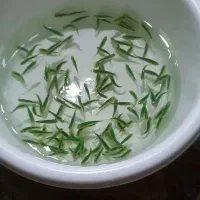 ماهی زبرا|ماهی|قزوین, |دیوار