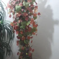 گل مصنوعی|گل مصنوعی|همدان, |دیوار