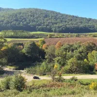 فروش-زمین-500متری-چسبیده-به-بافت-شموشک-بالا