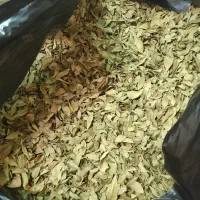برگ حنا|گل و گیاه طبیعی|بهبهان, |دیوار
