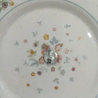 سکه ی کلکسیونی ناصری کاریکاتوری