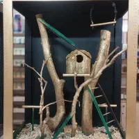 قفس برای پرندگان و حیوانات اهلی و خانگی