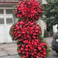 گل شادی،عروسی،فروشگاه،تبریک،موفقیت|گل و گیاه طبیعی|مشهد, گلبرگ شمالی|دیوار