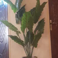 ساعت دیواری و گلدان به قیمت مناسب