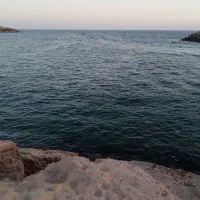 فروش بدلیجات سیاری میفروشم مستقیم ازچابهار میارم