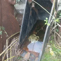 پاکت بیل کوماتسو