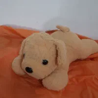 انواع عروسک زیر قیمت|اسباب‌بازی بچه|لاهیجان, رجایی|دیوار