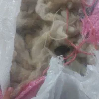 پشم گوسفندی تمیز