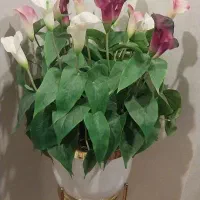 گل مصنوعی|گل مصنوعی|پاکدشت, پاکدشت (مامازند)|دیوار