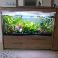 فروش اکواریوم|ماهی|شیراز, شهرک مفتح|دیوار