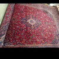 فرش دست بافت ۱۲متری