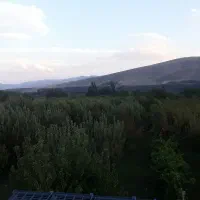 کود سولفات اهن ۱۸تا۱۹/۵درصد|خدمات باغبانی و درختکاری|اردبیل, |دیوار